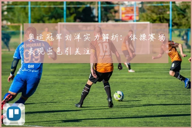 奥运冠军刘洋实力解析：体操赛场表现出色引关注
